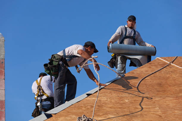 Roof Gutter Cleaning in Oakdale, PA